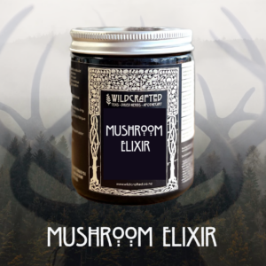 Mushroom Elixir