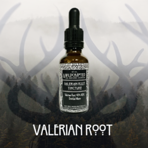 Valerian Root Tincture