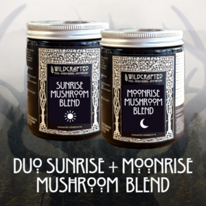 Duo Pack Sunrise + Moonrise Mushroom Blends