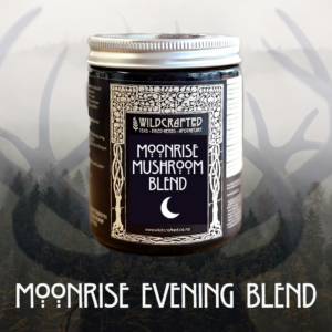 Moonrise Mushroom Blend