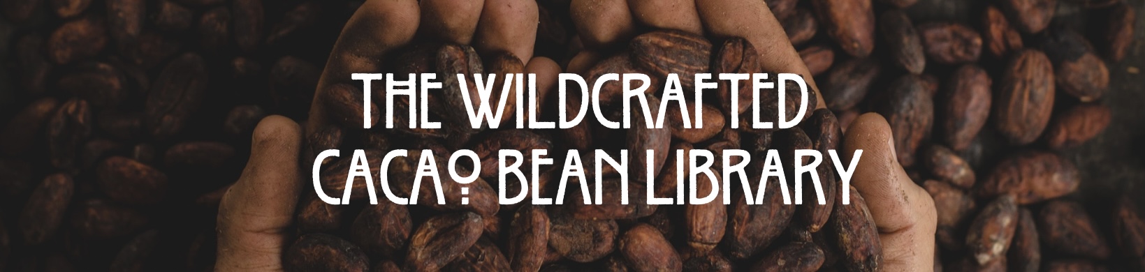 Wildcrafted Cacao Bean Library
