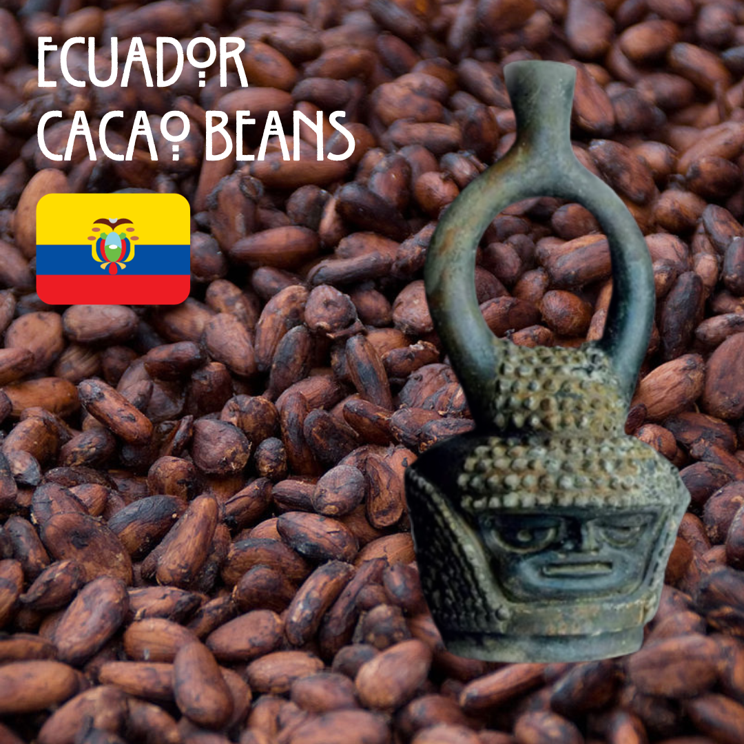 Ecuador Beans