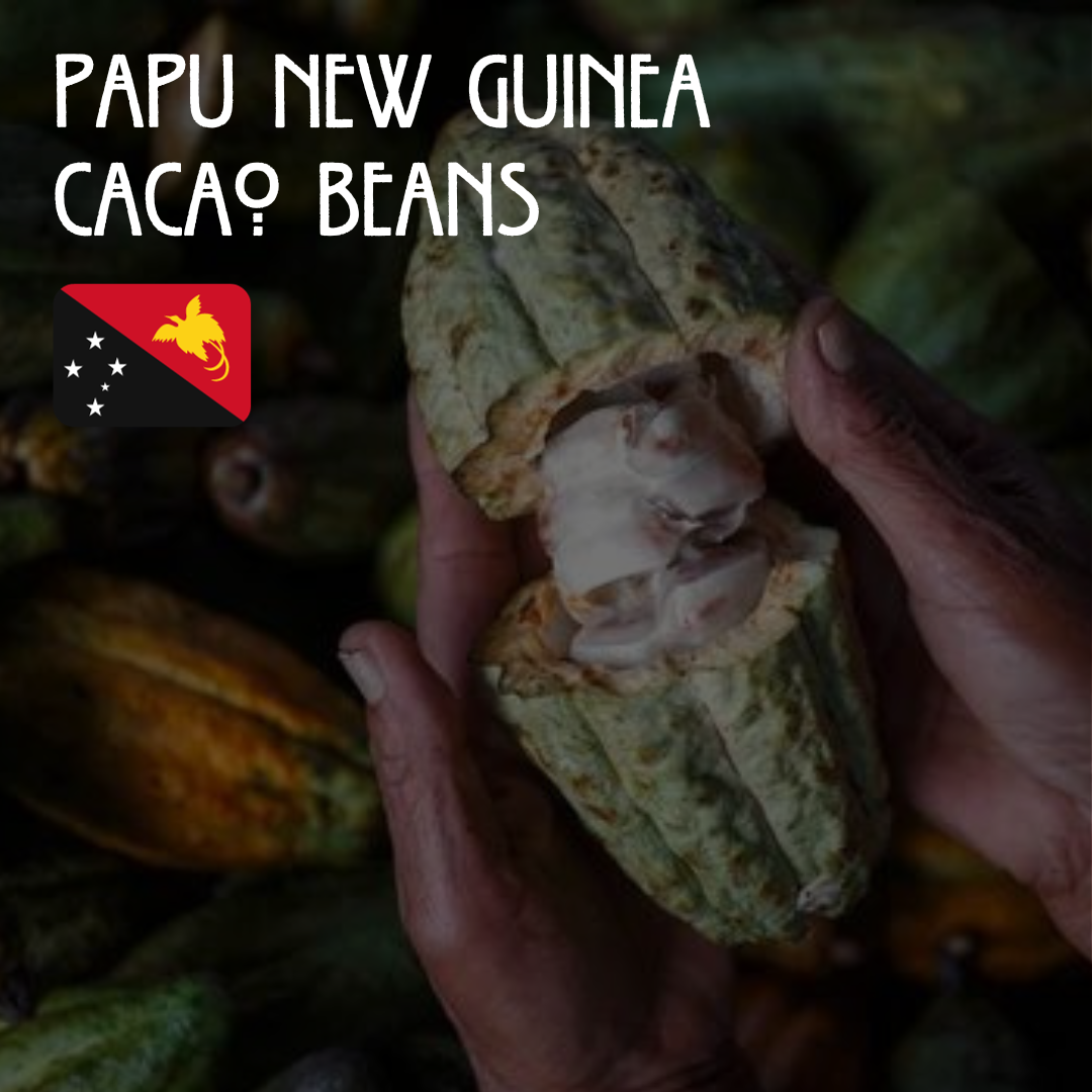 Cacao Papa New Guinea