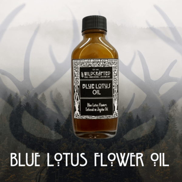 Blue Lotus Flower Oil