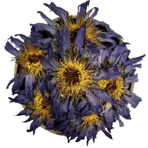 Blue Lotus Flowers - Whole Flower